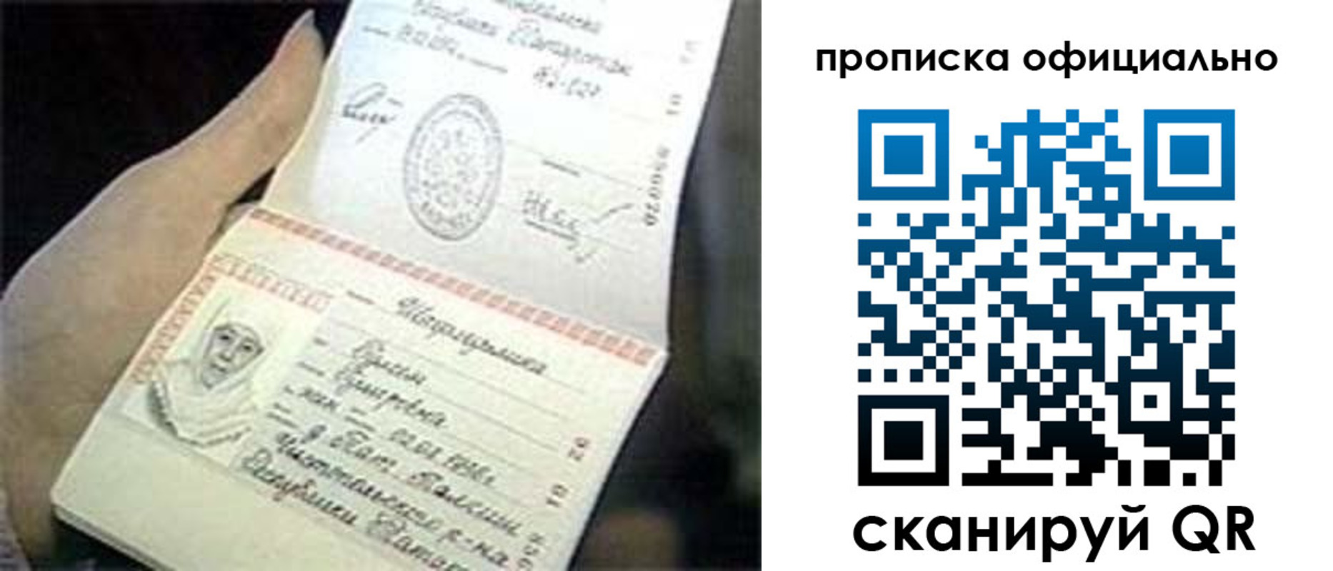 прописка поиск в Волоколамске